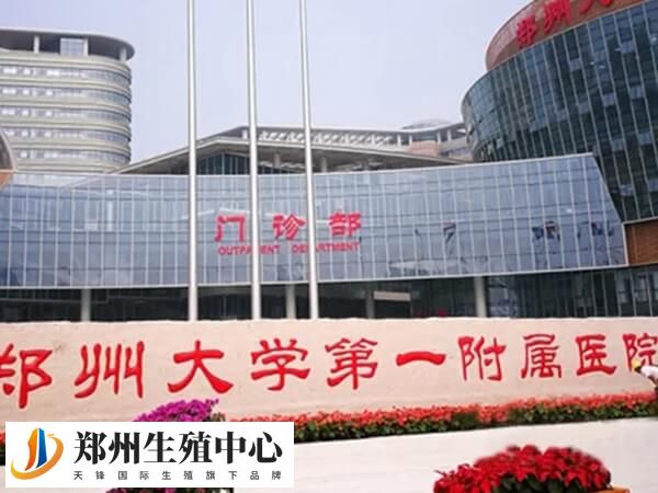 郑大一附院孙莹璞教授专业擅长常规试管婴儿