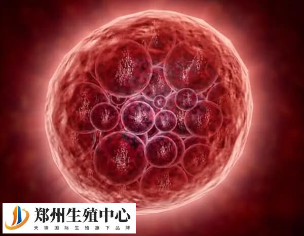 过敏性结膜炎是由于致敏物质引起的