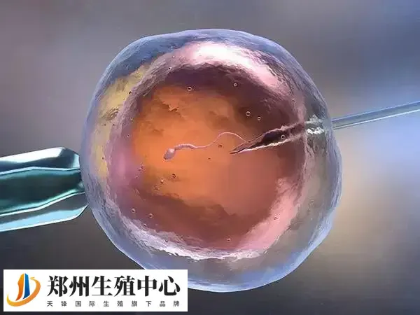 做试管选择方案时要了解清楚优缺点