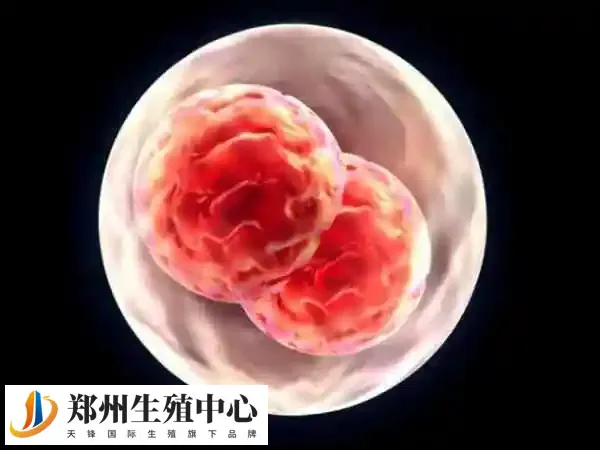 多囊建议先进行治疗再助孕
