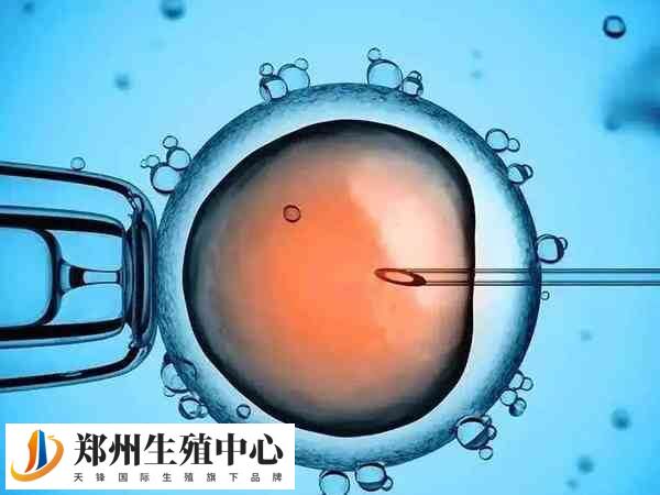 试管婴儿有两种受精方式