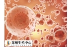 取卵穿刺子宫损伤大不大
