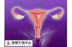 为什么内膜转c才移植